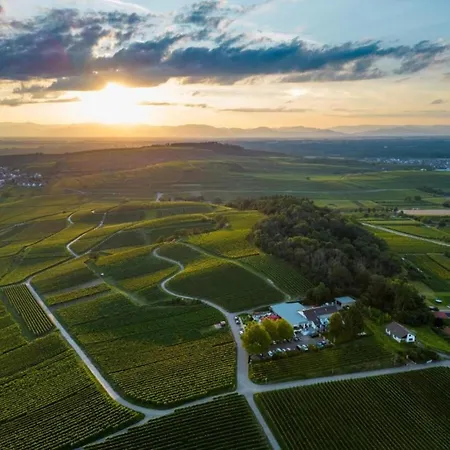 Weinberg-ferienwohnung, Oberrotweil Apartmán Vogtsburg