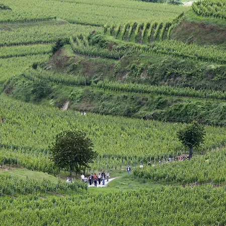 Weinberg-ferienwohnung, Oberrotweil Apartmán