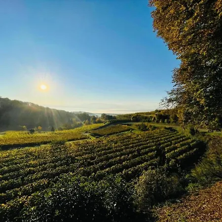 Weinberg-ferienwohnung, Oberrotweil * Vogtsburg