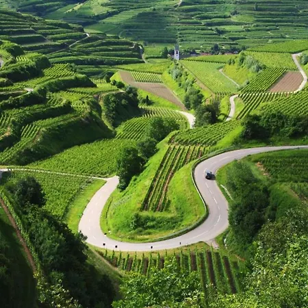 Weinberg-ferienwohnung, Oberrotweil Apartmán *