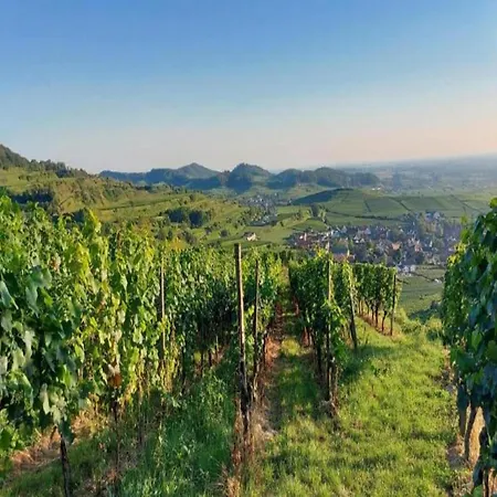 Weinberg-ferienwohnung, Oberrotweil Vogtsburg