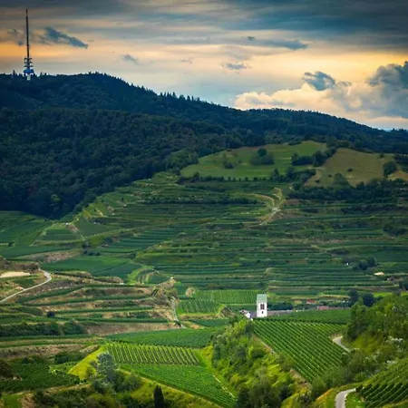 Weinberg-ferienwohnung, Oberrotweil Apartmán