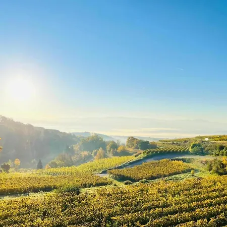 Apartmán Weinberg-ferienwohnung, Oberrotweil