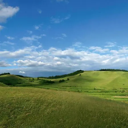 Weinberg-ferienwohnung, Oberrotweil Apartmán *
