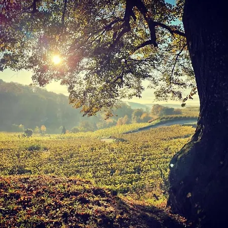 Weinberg-ferienwohnung, Oberrotweil *